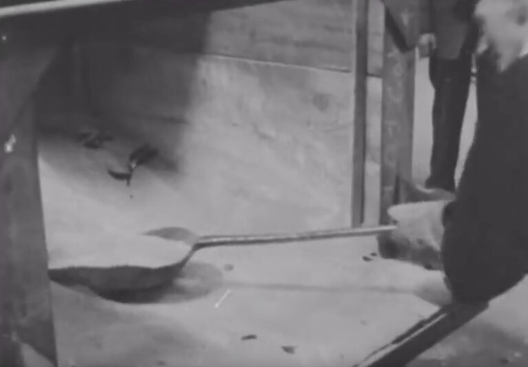 Chance Glass Exhibition Midlands News, 1957chance Glass Exhibition Midlands News, 1957